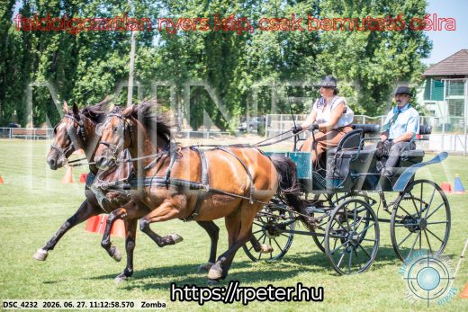 Mintakép 20260627-844