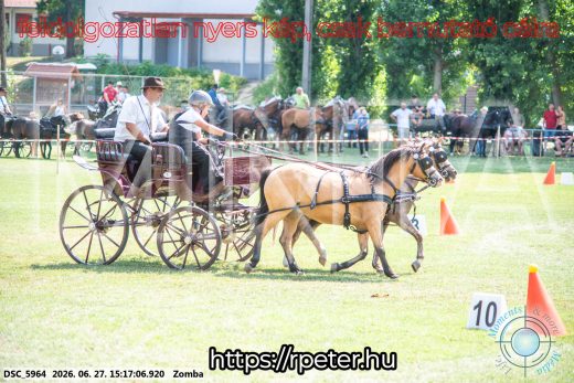 Mintakép 20260627-850