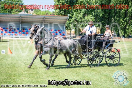 20260627-100841-DSC_3637.jpg