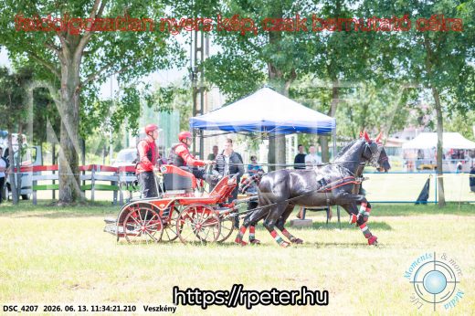 Mintakép 20260613-433