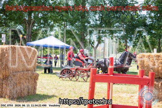 Mintakép 20260613-434