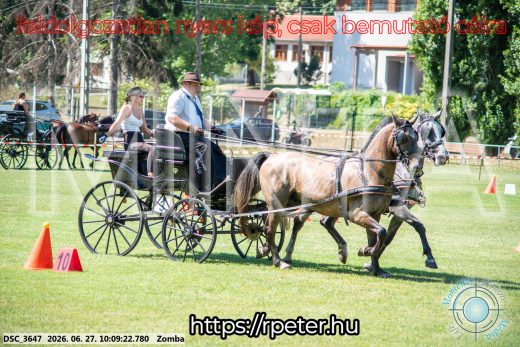 Mintakép 20260627-1217