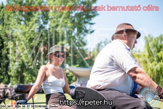 Mintakép 20260627-1233