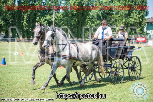 Mintakép 20260627-1236
