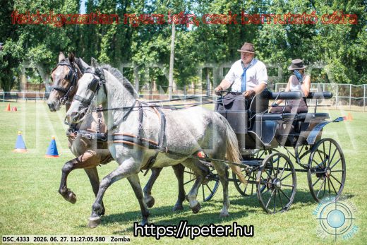 Mintakép 20260627-1237