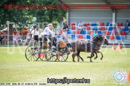 Mintakép 20260627-1262