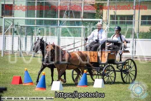 Mintakép 20260627-1265