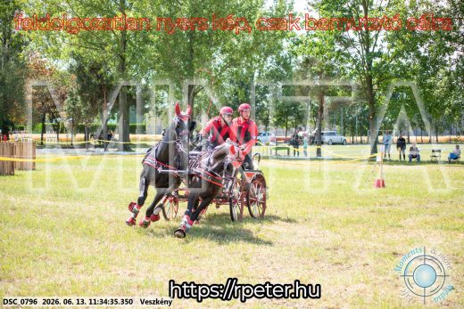Mintakép 20260613-440