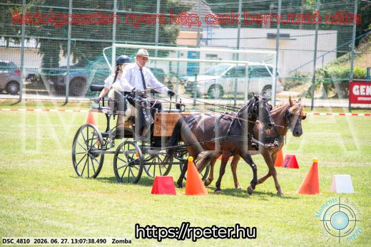 Mintakép 20260627-1270
