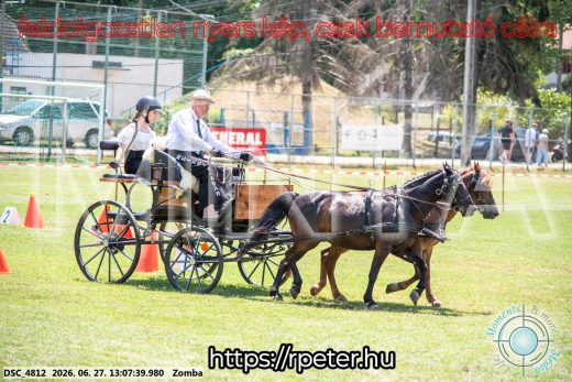 Mintakép 20260627-1271