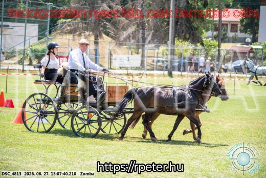 Mintakép 20260627-1272