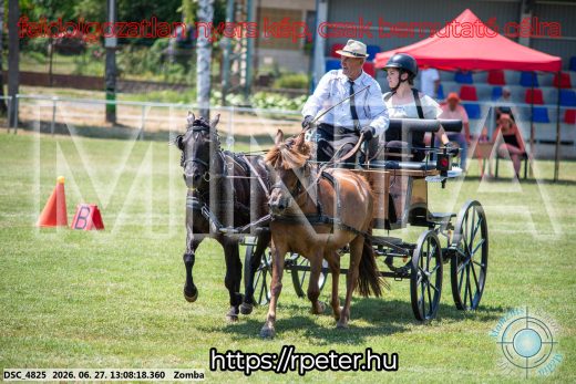 Mintakép 20260627-1276