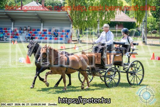 Mintakép 20260627-1278