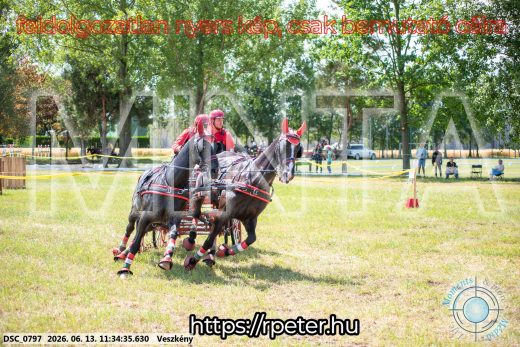 Mintakép 20260613-441