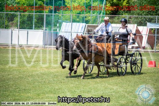 Mintakép 20260627-1282