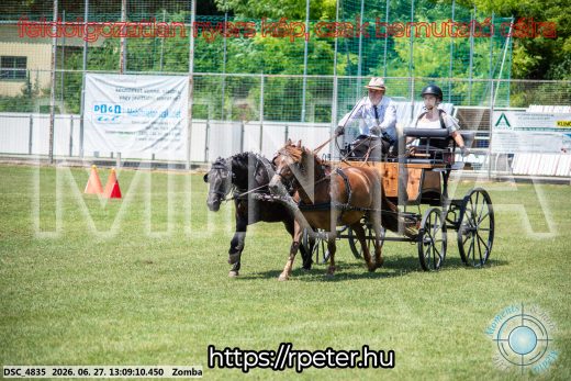Mintakép 20260627-1283