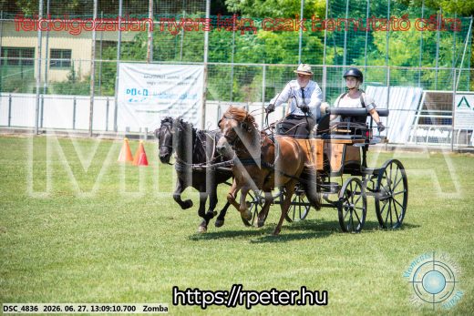 Mintakép 20260627-1284