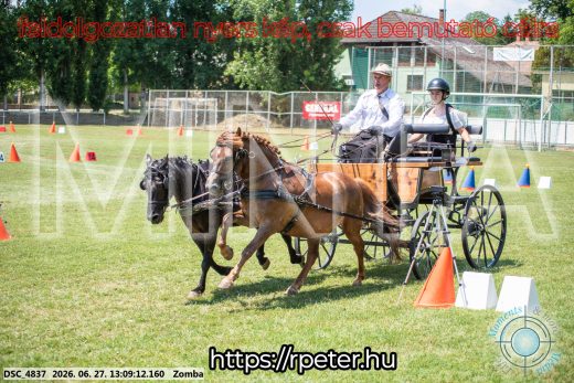 Mintakép 20260627-1285