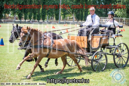 Mintakép 20260627-1286