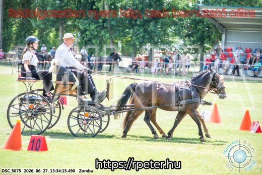 Mintakép 20260627-1287