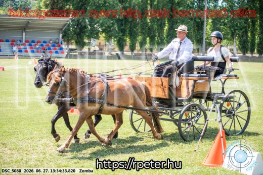 Mintakép 20260627-1291