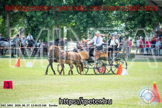 Mintakép 20260627-1293
