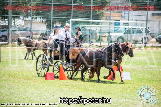 Mintakép 20260627-1297