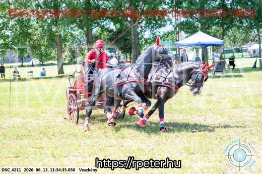 Mintakép 20260613-443