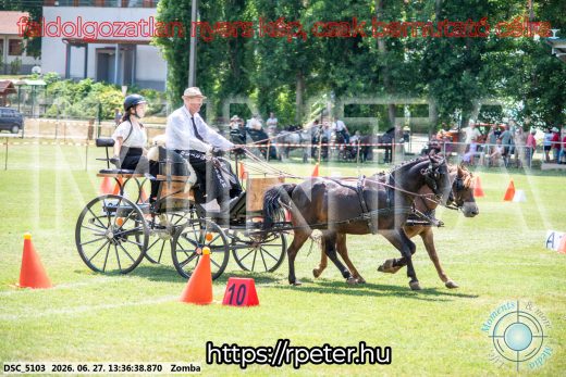 Mintakép 20260627-1299