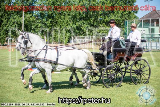 Mintakép 20260627-1313