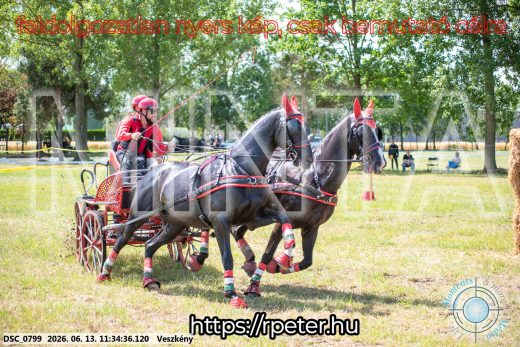 Mintakép 20260613-445