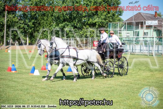 Mintakép 20260627-1331
