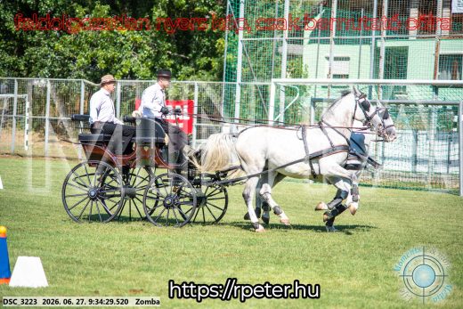 Mintakép 20260627-1337