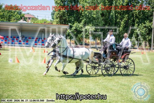 Mintakép 20260627-1360