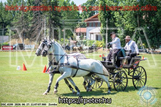 Mintakép 20260627-1362