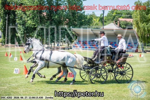 Mintakép 20260627-1365