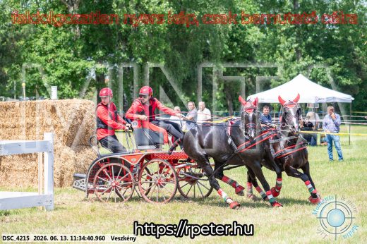 Mintakép 20260613-450