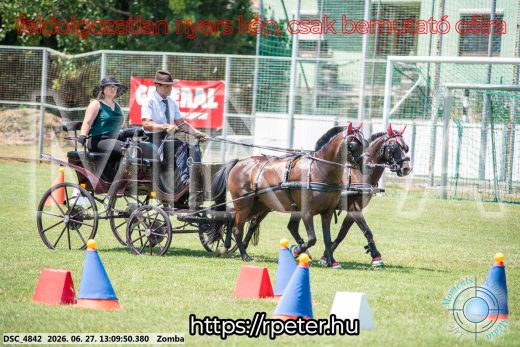 Mintakép 20260627-1370