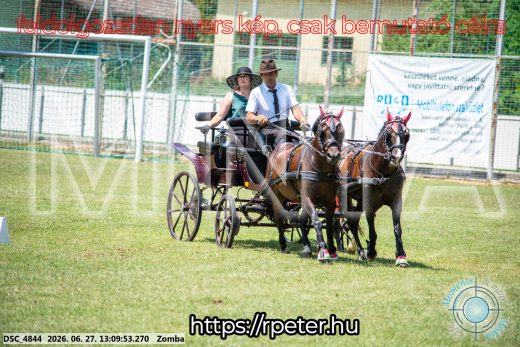 Mintakép 20260627-1371
