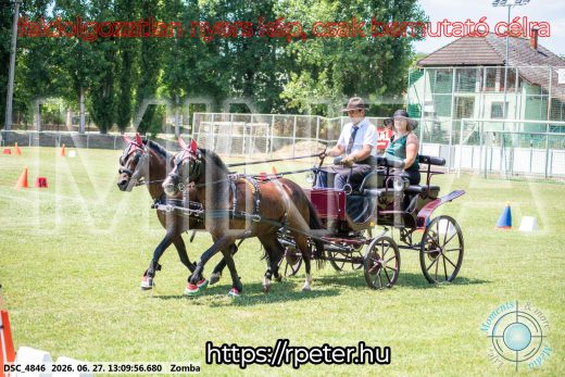 Mintakép 20260627-1372