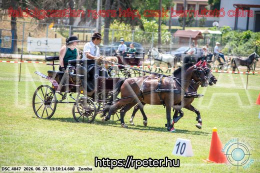 Mintakép 20260627-1373
