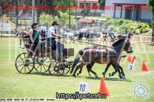 Mintakép 20260627-1374