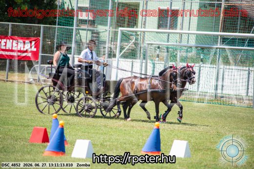 Mintakép 20260627-1375