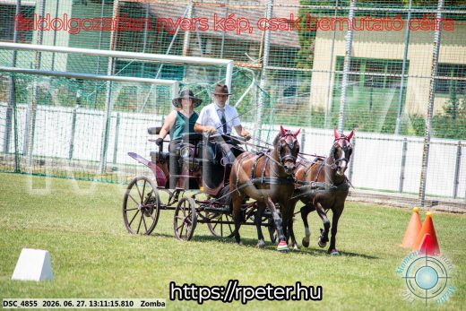 Mintakép 20260627-1377