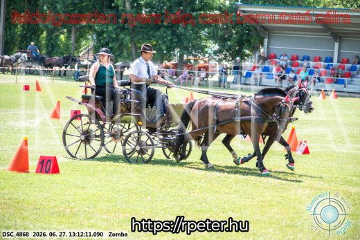 Mintakép 20260627-1383