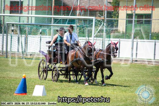 Mintakép 20260627-1385