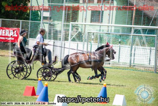 Mintakép 20260627-1387
