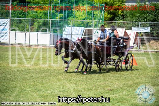 Mintakép 20260627-1389
