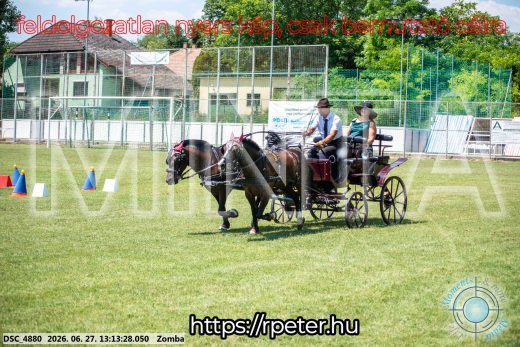 Mintakép 20260627-1390