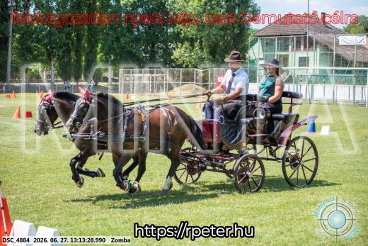 Mintakép 20260627-1394